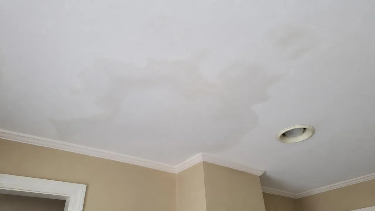 How to Tell If You Have a Hidden Water Leak