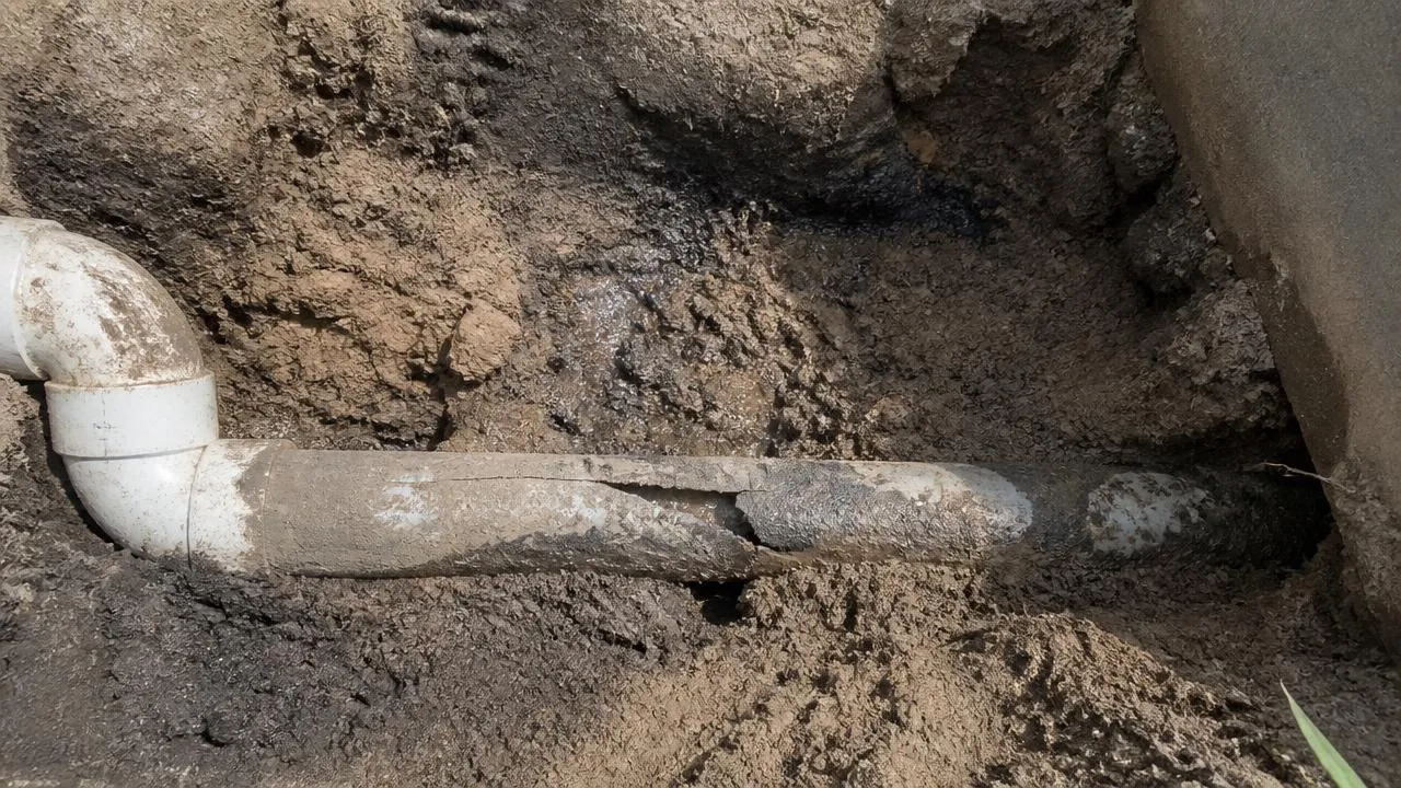 5 Signs Your Sewer Line Needs Repair
