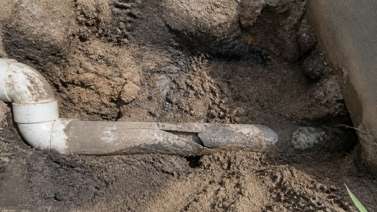 5 Signs Your Sewer Line Needs Repair